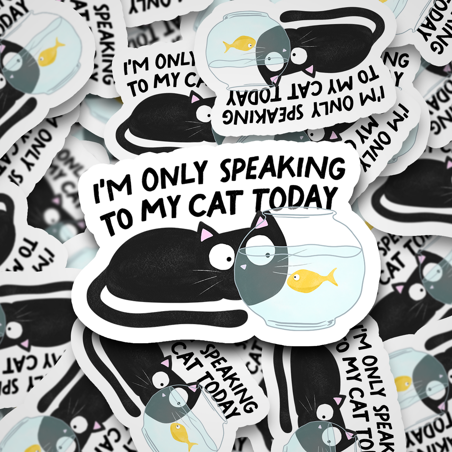 only speaking to my cat