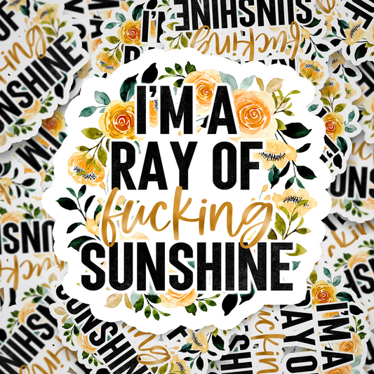 ray of fucking sunshine