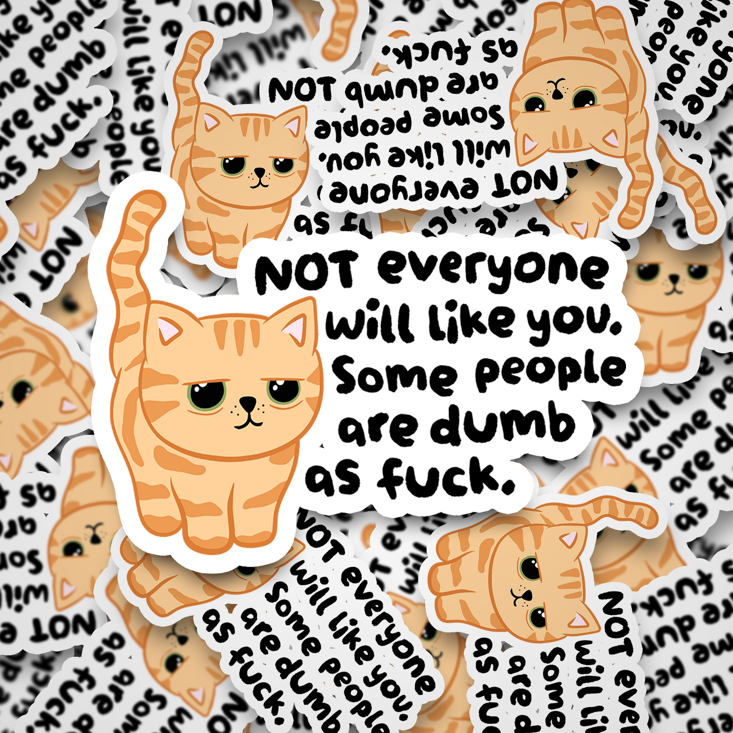 not everyone will like you