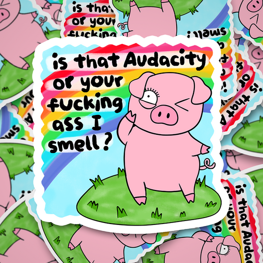 is that audacity?