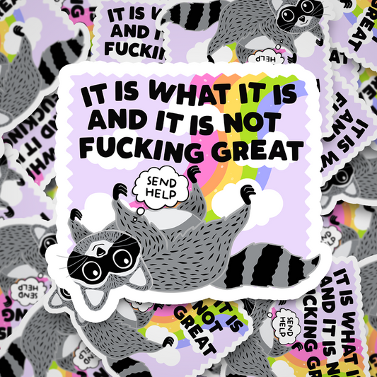 it is what it is